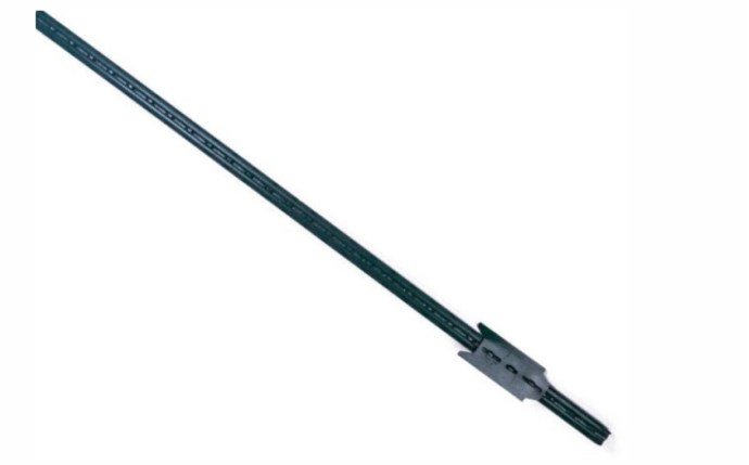 AAA-37-2004.jpg