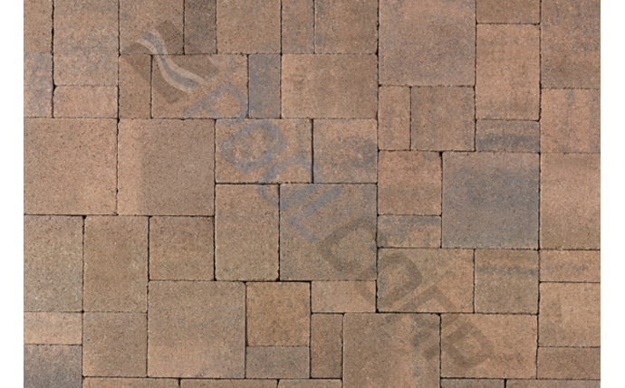 AAA-37-4010.jpg