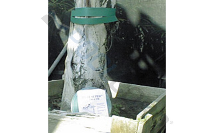 aen-53-1028.jpg