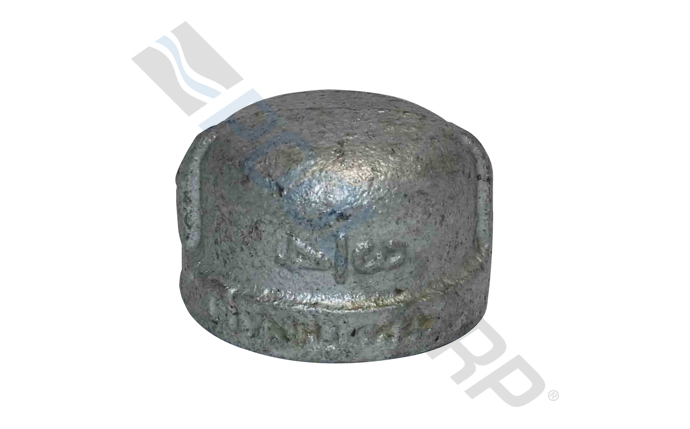 ALI-56-1091.jpg