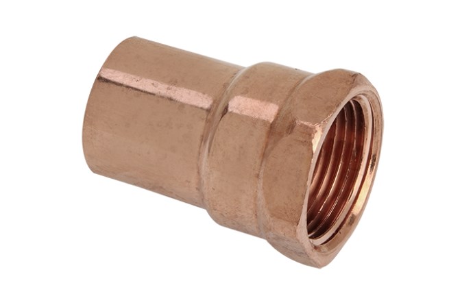 ali-56-1154.png