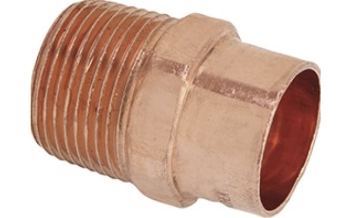 ALI-56-1175.jpg