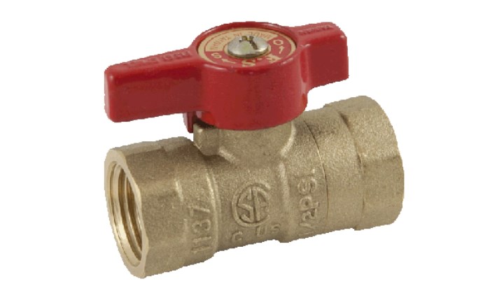 ALI-56-1236.png