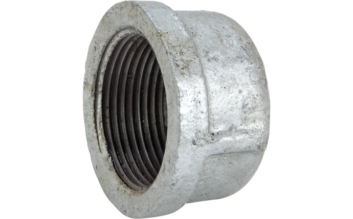 ali-56-1561.png