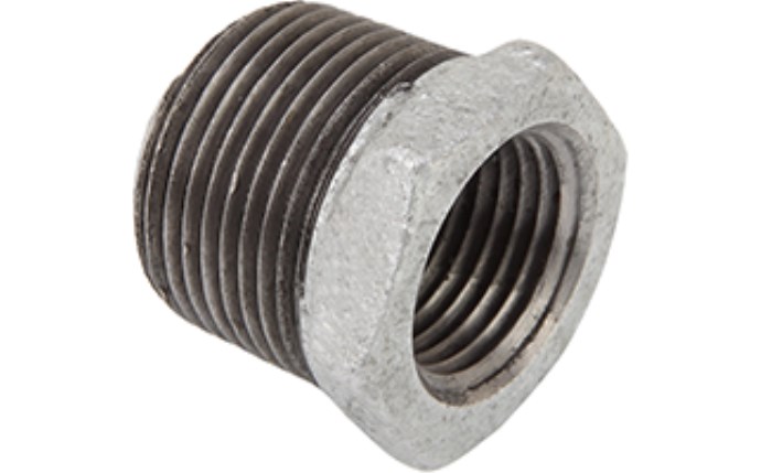 ALI-56-1600.png