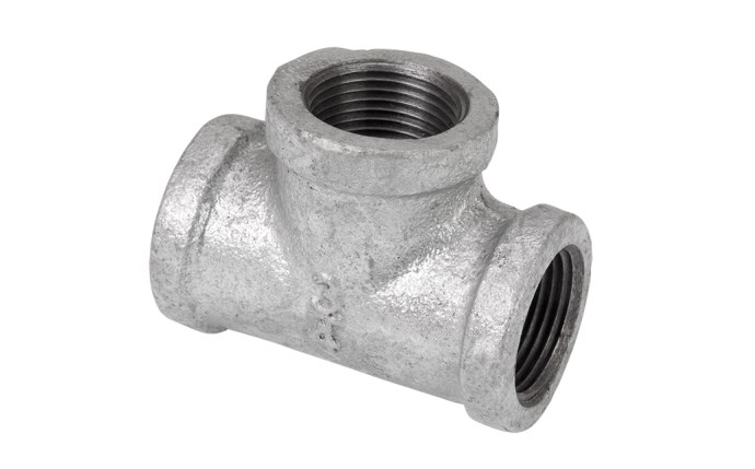 ali-56-1695.png