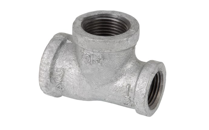 ali-56-1700.png