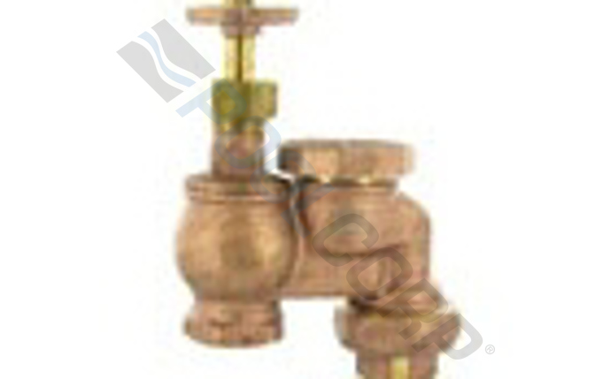 ALI-58-1016.jpg