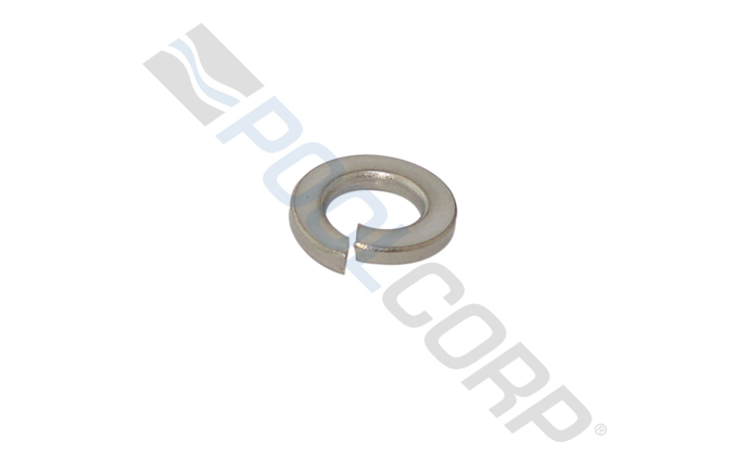 AMP-101-0600.jpg