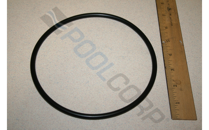 AMP-101-1096.jpg