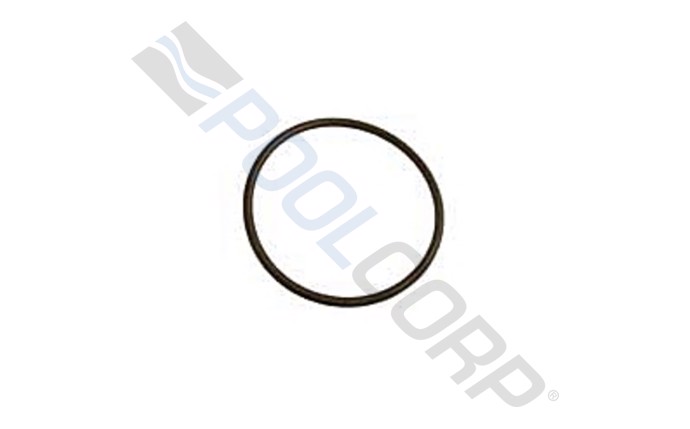 AMP-101-4011.jpg