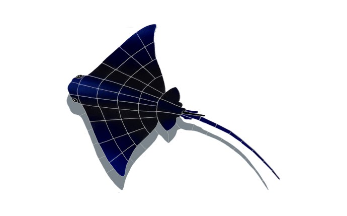 ANM-37-0062.jpg