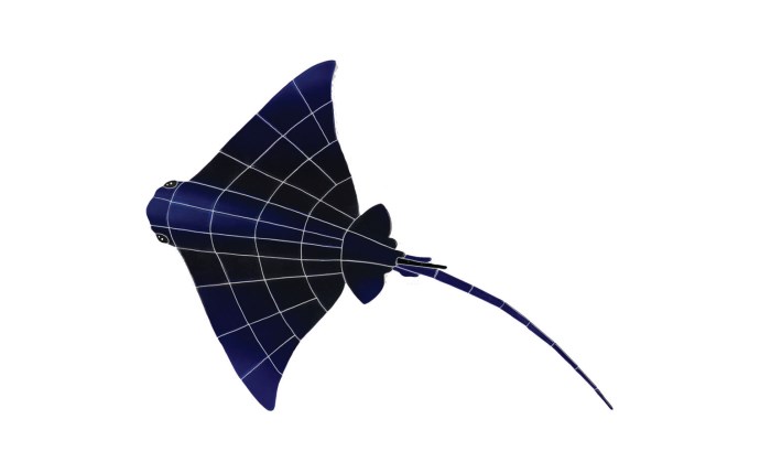 ANM-37-7486-1.jpg