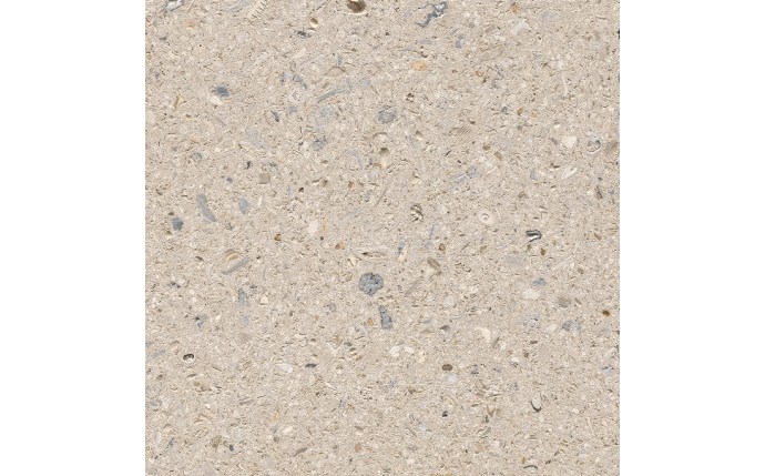 apm-37-0006.jpg