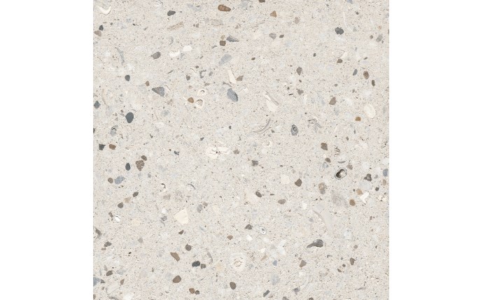 apm-37-3013-1.jpg