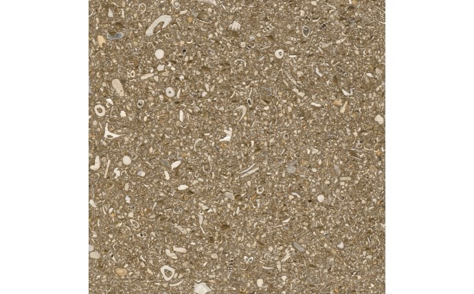 apm-37-3141-1.jpg