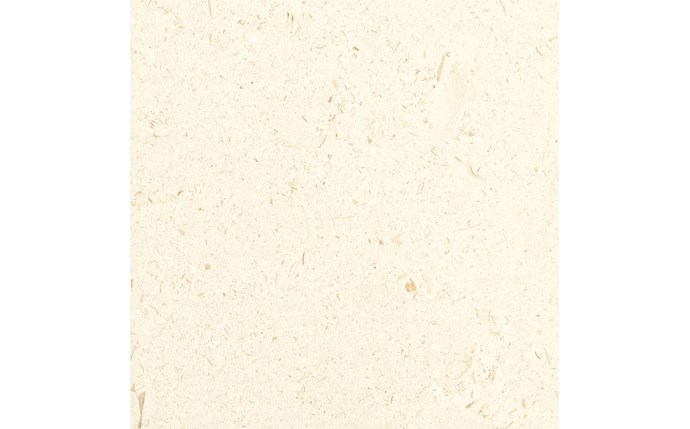 atn-37-1185.jpg