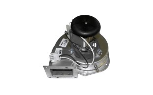POOL360 | HAYWARD H400FD COMBUSTION BLOWER