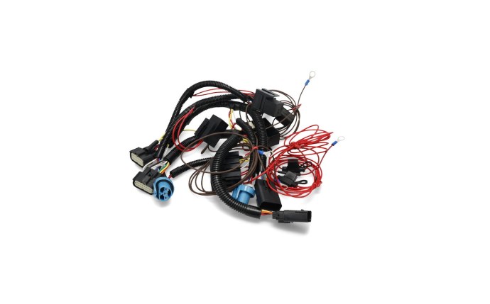 bsp-59-0048.jpg