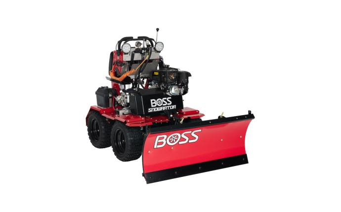 bsp-59-0213.jpg