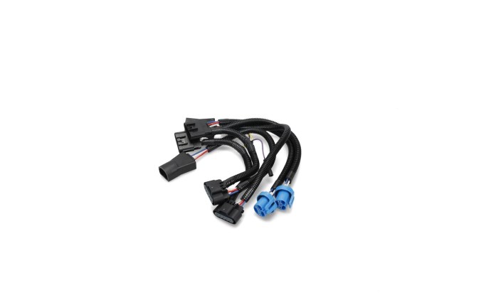 bsp-59-1142.jpg