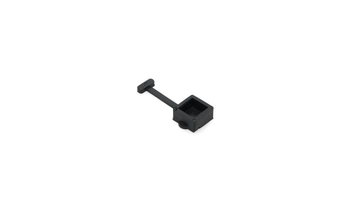 bsp-591-0195.jpg