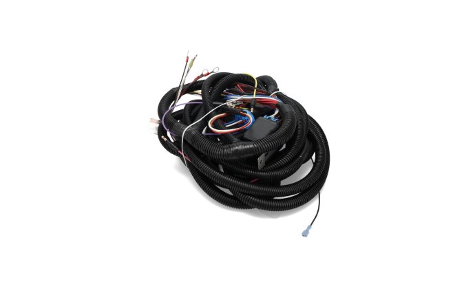 bsp-591-1165-1.jpg