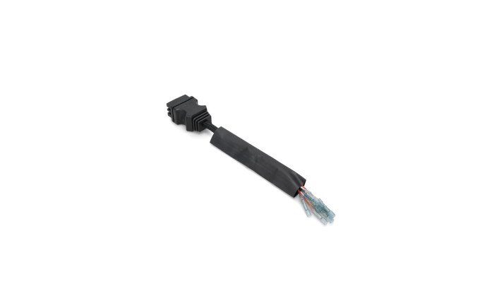 bsp-591-1458.jpg