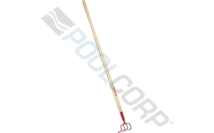 ccl-53-1097.jpg