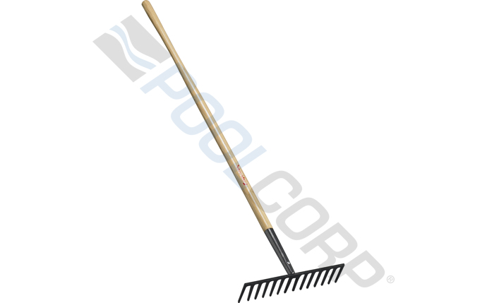 ccl-53-1167.jpg