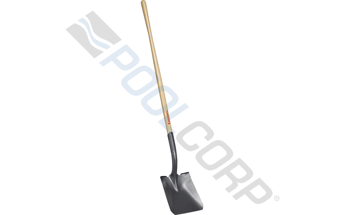 ccl-53-1220.jpg