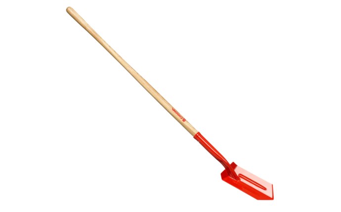 ccl-53-1256.png