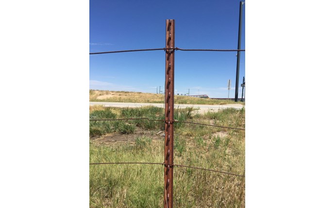 CDX-53-0002.jpeg