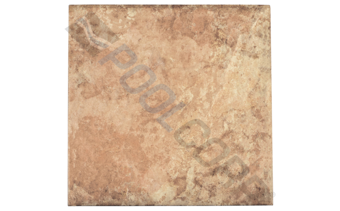 ceg-37-9625.jpg