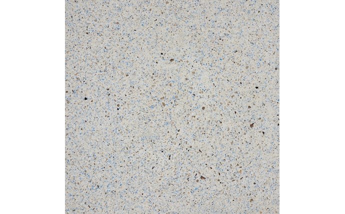 CII-37-8049-1.jpg