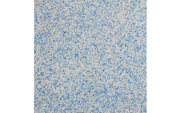 CII-37-8061-1.jpg