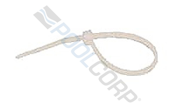 clu-591-1445.jpg