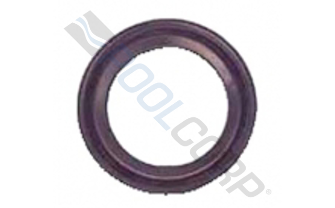 clu-591-2979.jpg