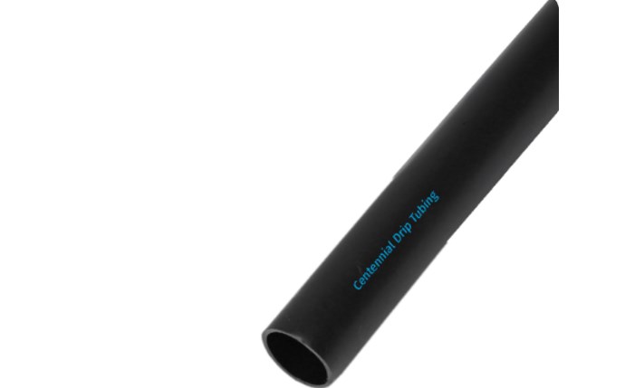 cnp-56-1009.png