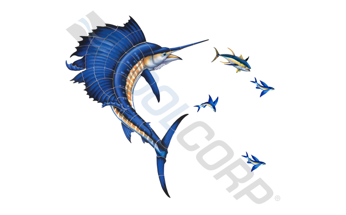 csm-37-1050.jpg