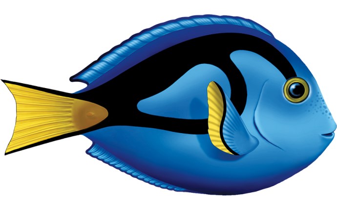 CSM-37-1173.png