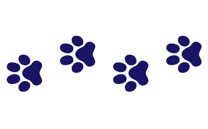 CSM-37-2206-1.png