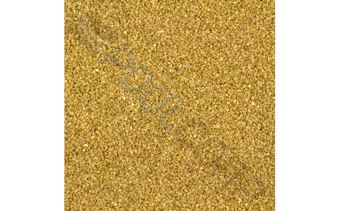 cwe-37-1008.jpg