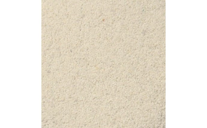 cwe-37-1041.jpg