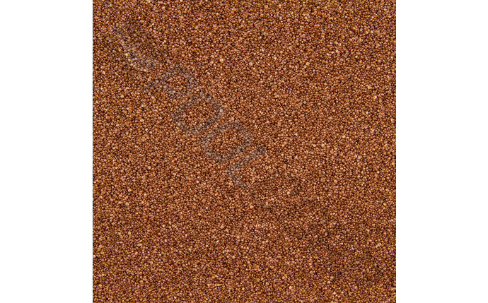 CWE-37-1056.jpg