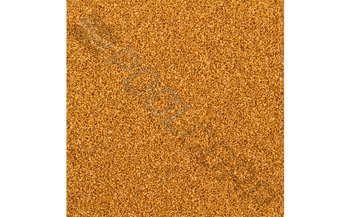 CWE-37-1057.jpg