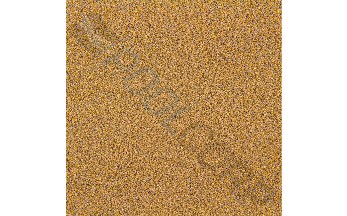 CWE-37-1070.jpg