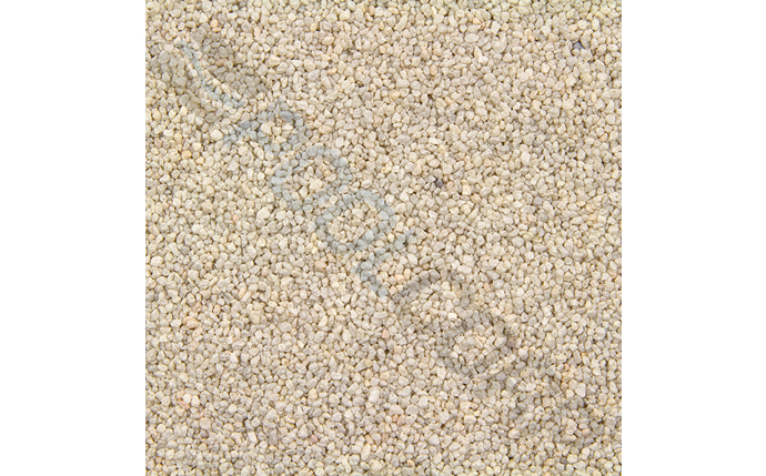 cwe-37-1115.jpg