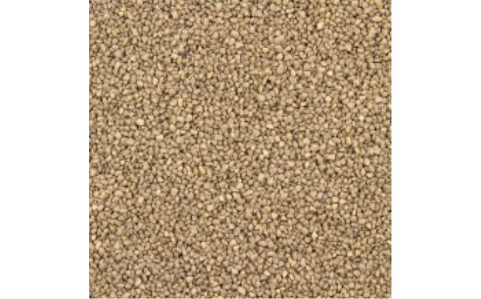 cwe-37-1140.jpg