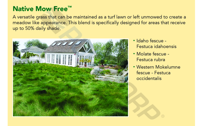 DELTA BLUEGRASS MOWFREE SOD redirect to product page